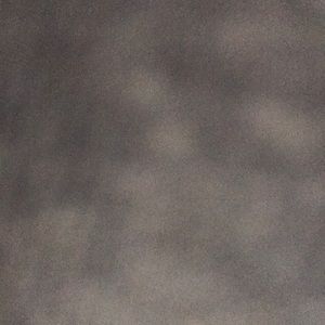 Meet your Posher, Jojocelyn